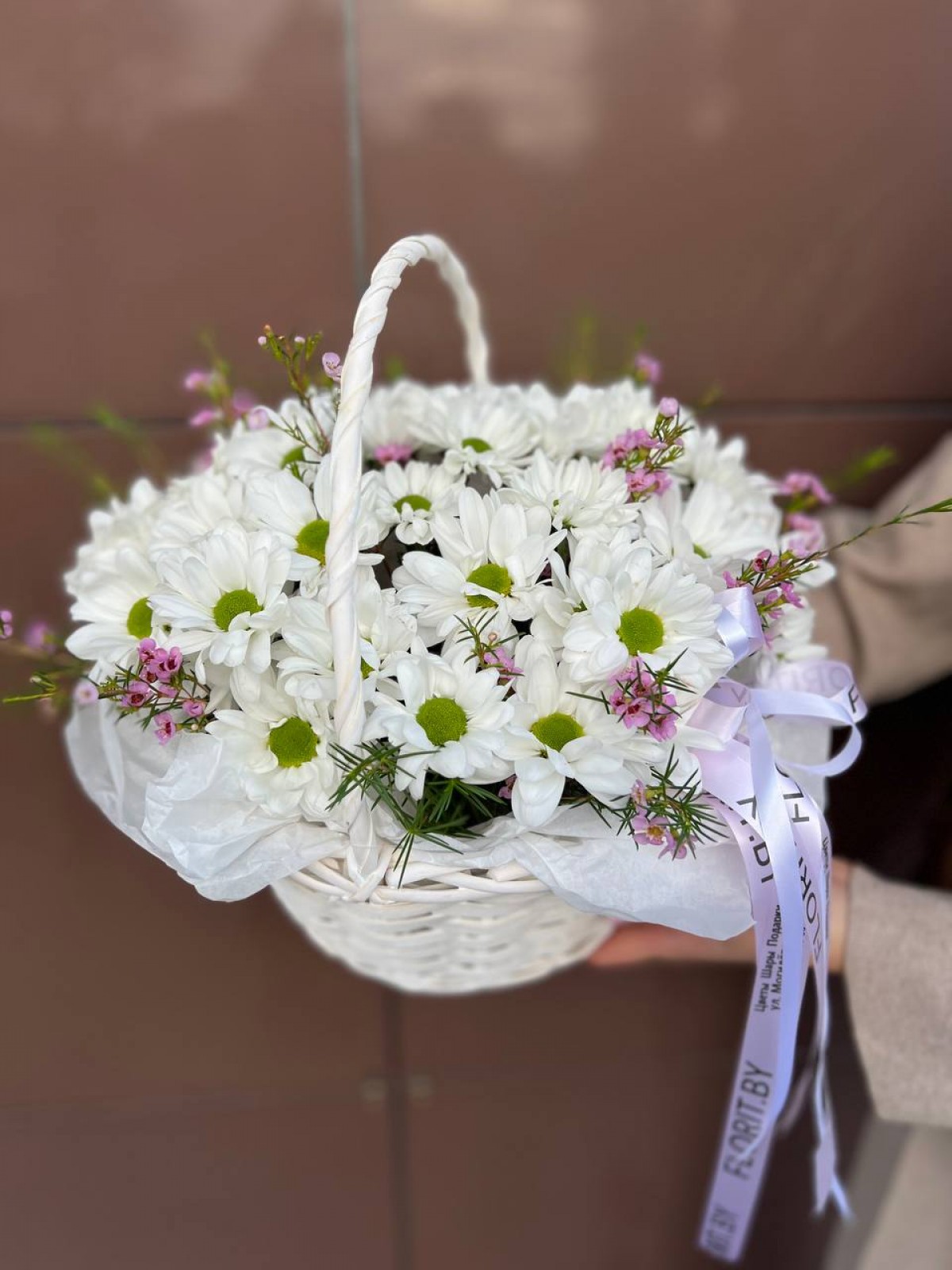   Композиция 206