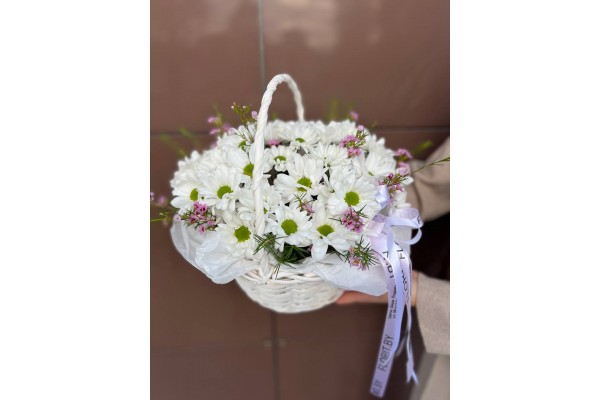   Композиция 206