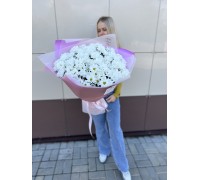 Букет   |  Ромашковое вдохновение 