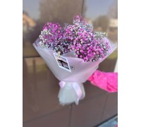 Букет | Гипсофила