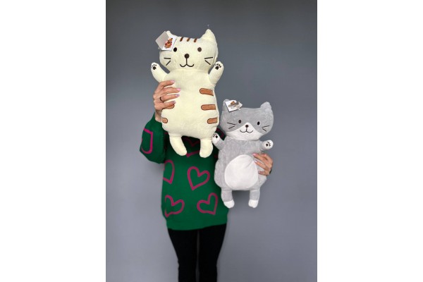 Кот Барсик 50 см 