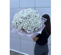 Букет   |  Азарт 